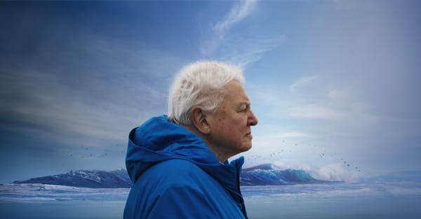 Ocean with David Attenborough: a rallying cry for our seas
